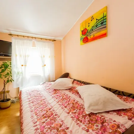 Simon Apartment Brasov
