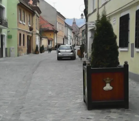 Simon * Brasov