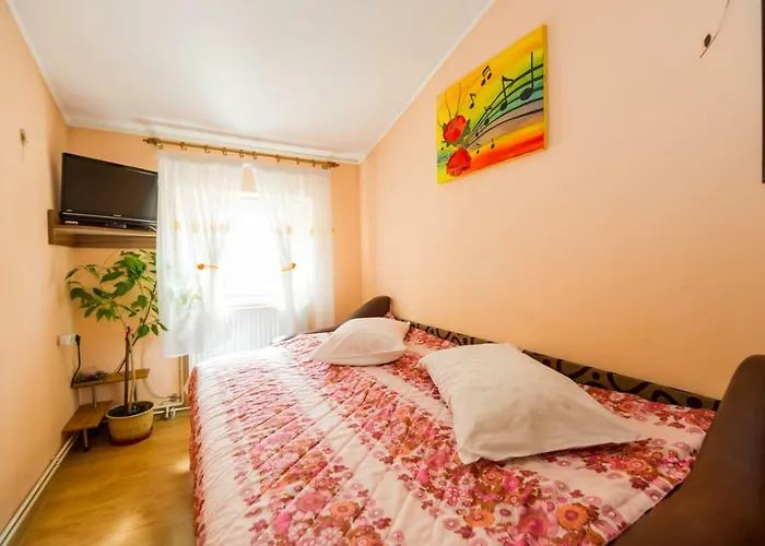 Simon Apartment Brasov